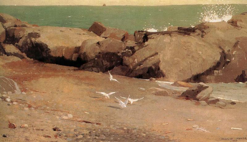 Winslow Homer Rocky shore and the seagulls Spain oil painting art